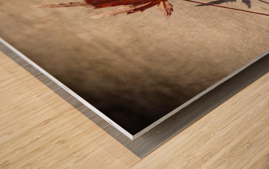 Fallen Beauty Impression sur bois