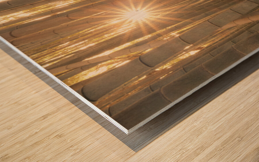 Sunlight in the Bamboo Forest Wood print