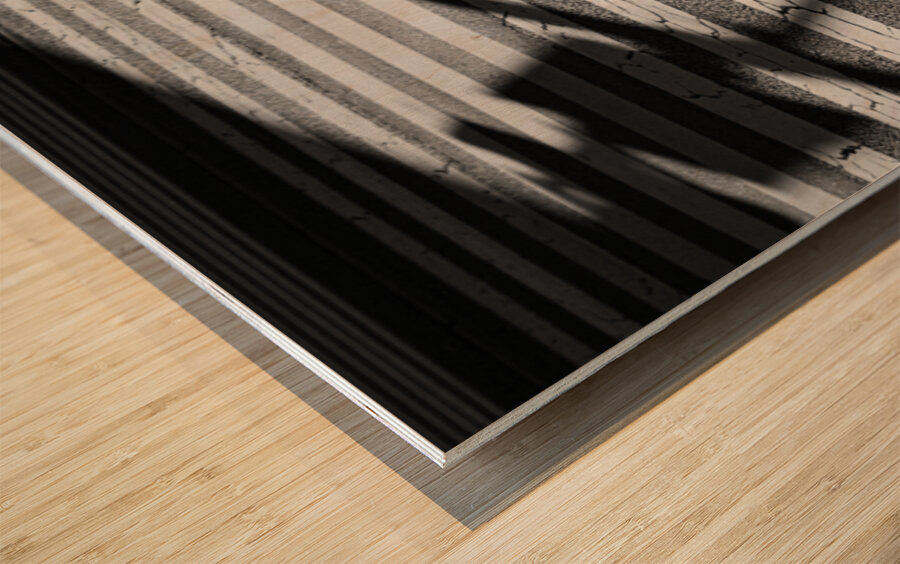 Tokyo Crossing Wood print