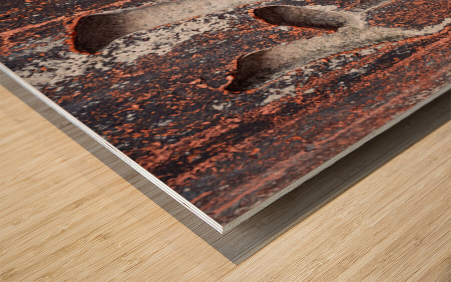 Fushimi Inari Inscription Wood print