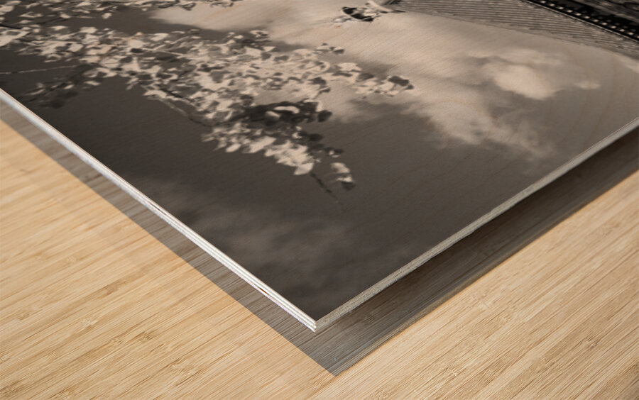 Shadows at Shitennoji Temple Wood print