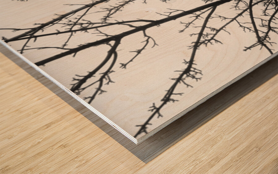 Islay Tree Wood print