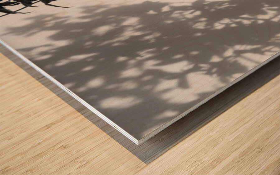 Nijo Castle Tree Wood print