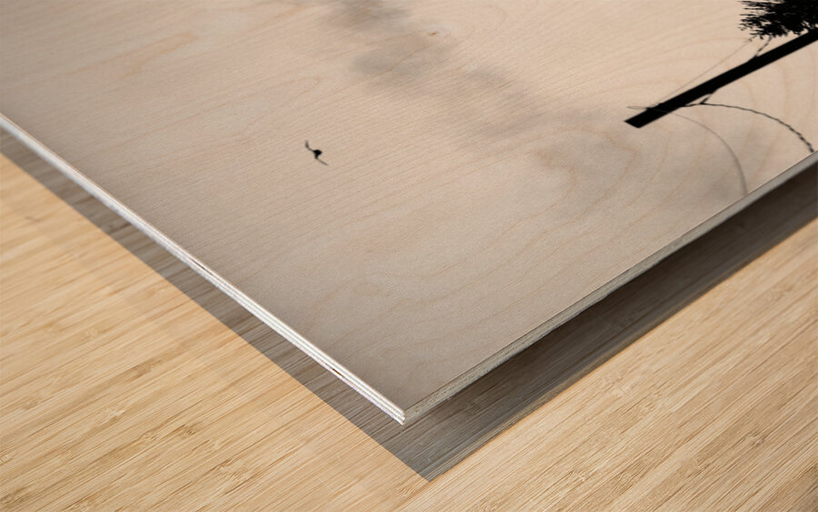 Port Ellen Maltings Wood print