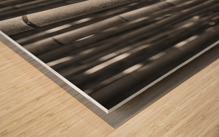 Arashiyama Bamboo Wood print