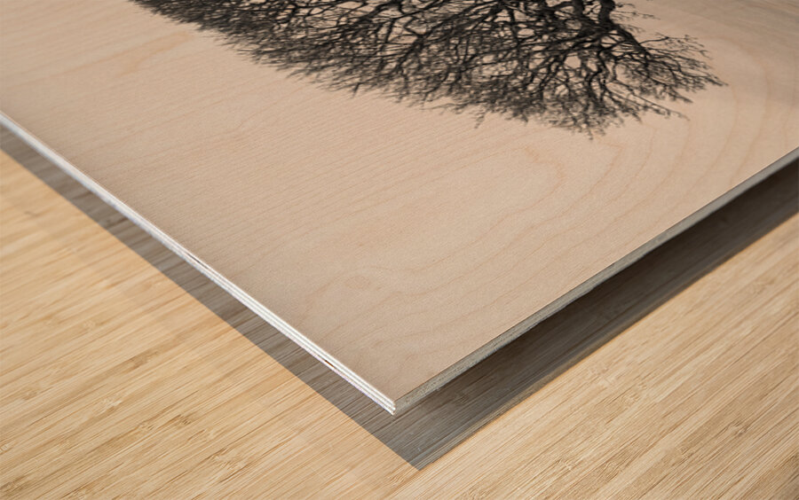 Islay Sentinel Impression sur bois