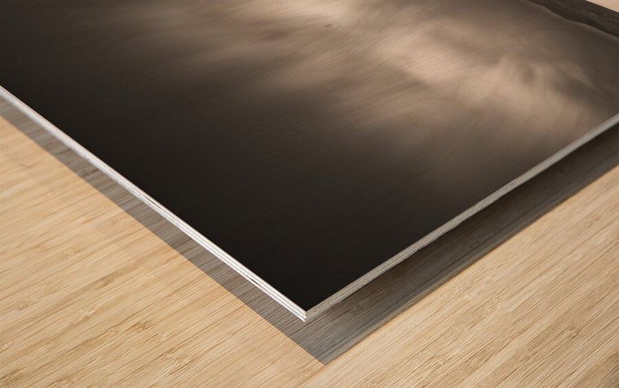 Skipness Sticks Wood print