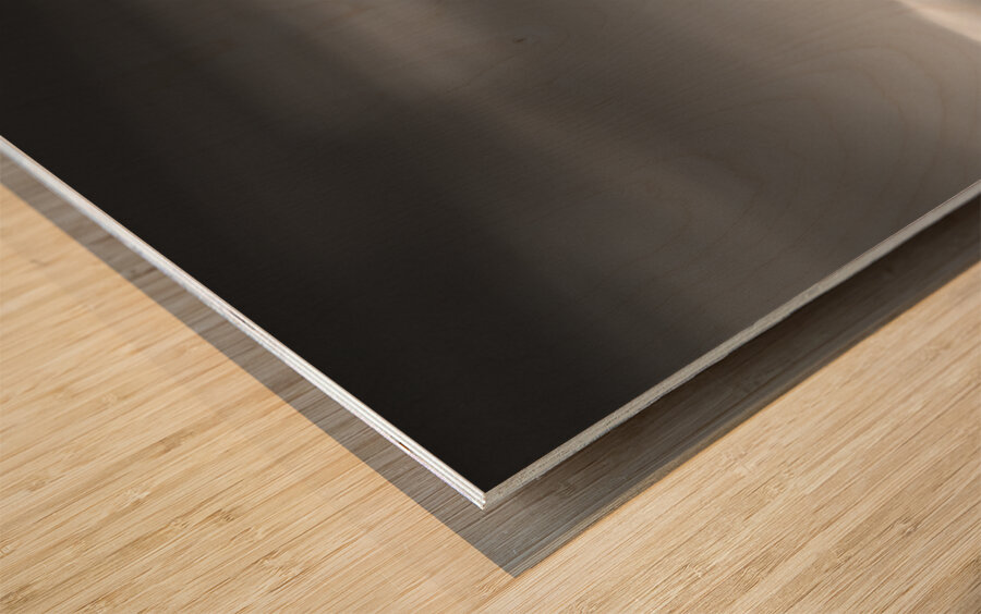 Port Charlotte Lighthouse Wood print