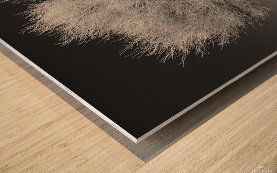 Highland Tree and Peak Wood print