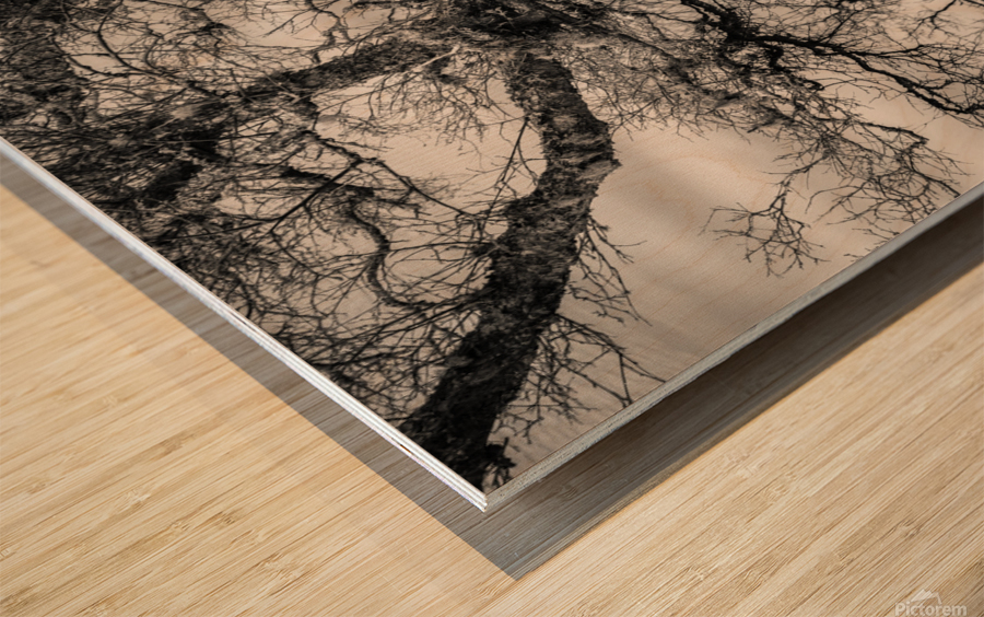 Lochan Na Cuilce Reflections Wood print