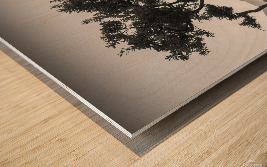 Crummock Water Tree Wood print