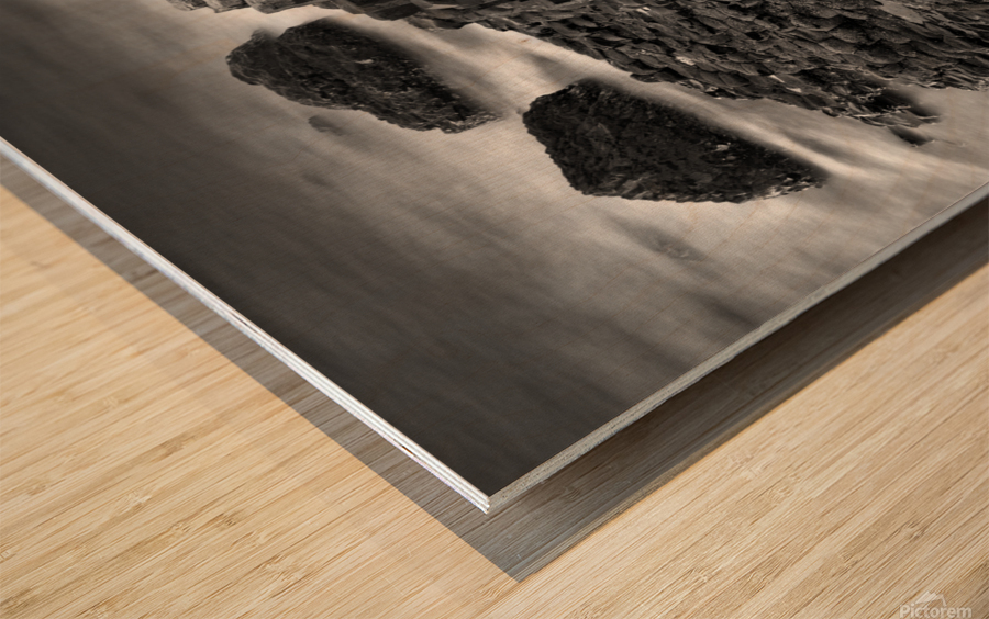 Causeway Textures Wood print