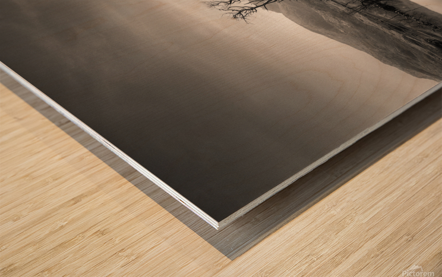 Loch Assynt Reflection Wood print