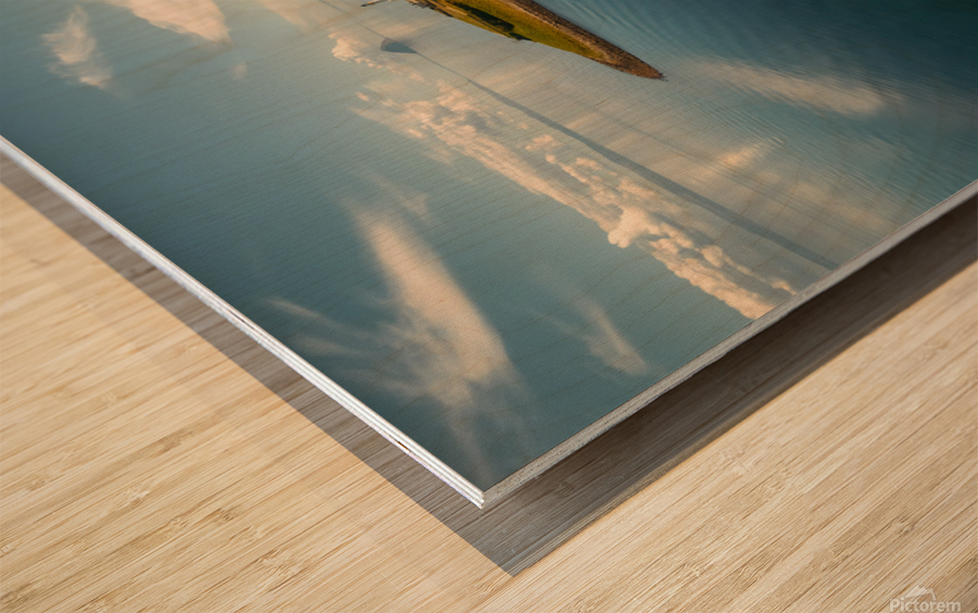 Pladda Island and Lighthouse Wood print