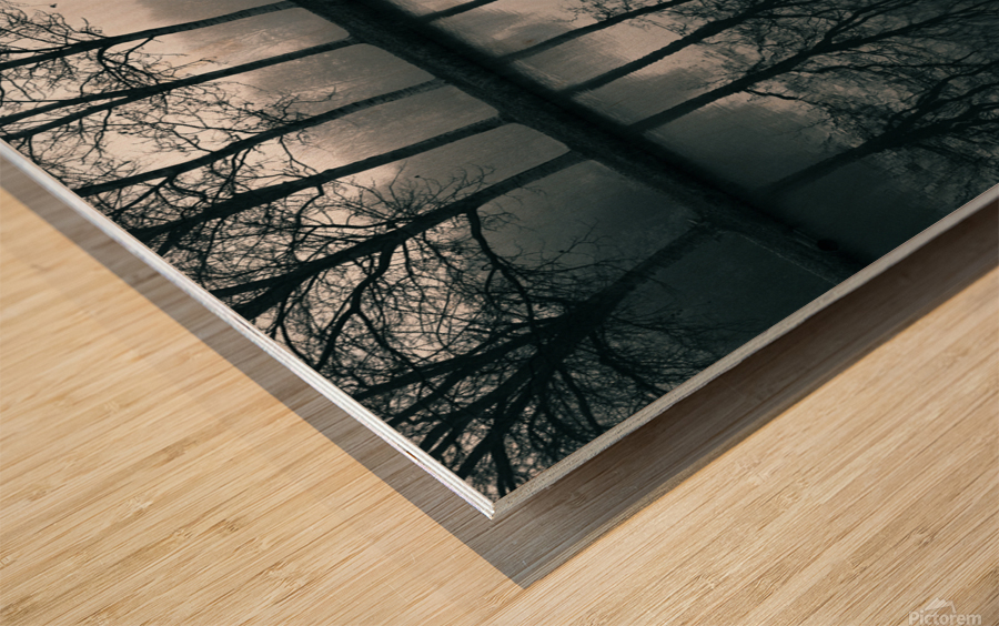 Wilhelminapark Wood print