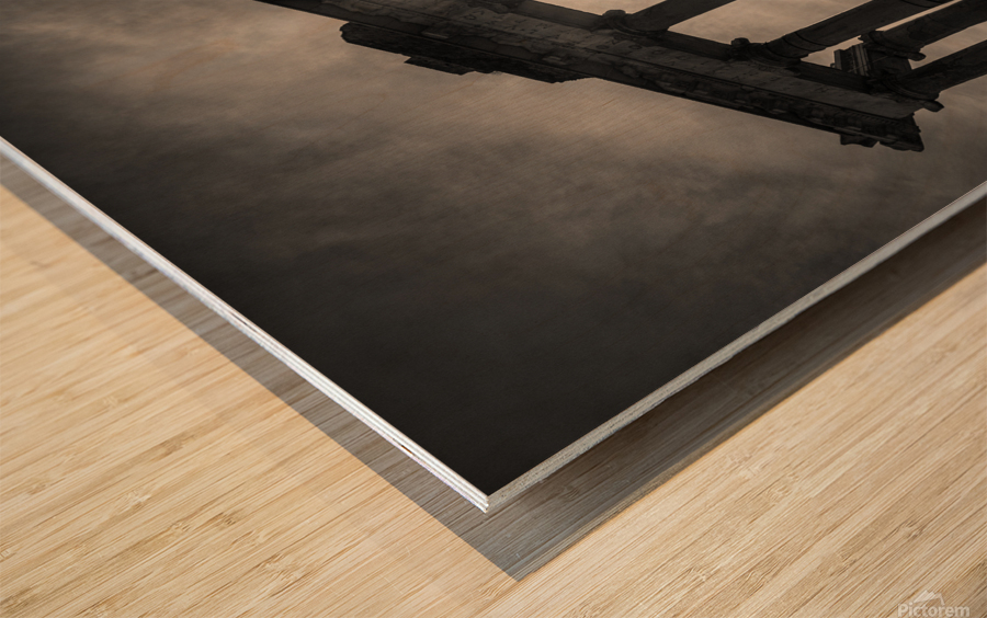 Roman Forum Wood print