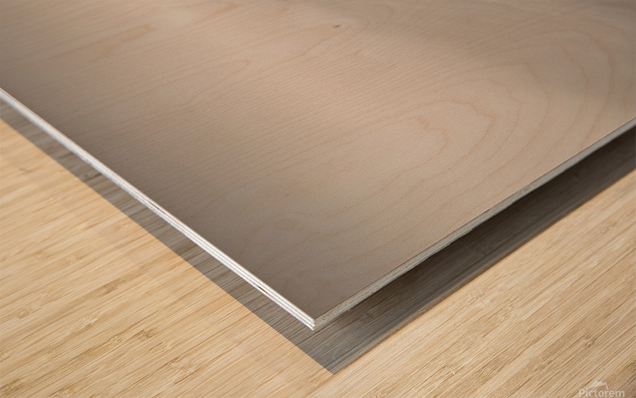 Skye Tree Wood print