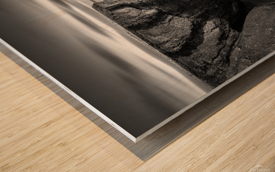 Fowlsheugh Cliffs Impression sur bois