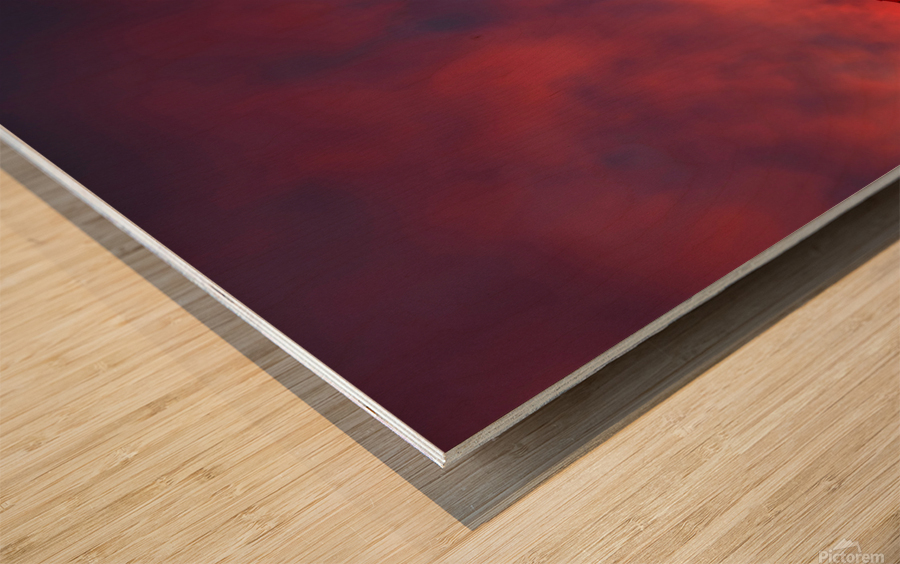 Last Light in Monument Valley Wood print