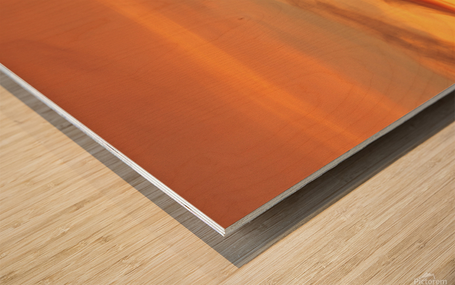 Red Tip Sunset Wood print