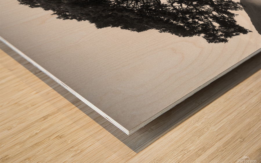 Morning Mist over Crummock Water Wood print