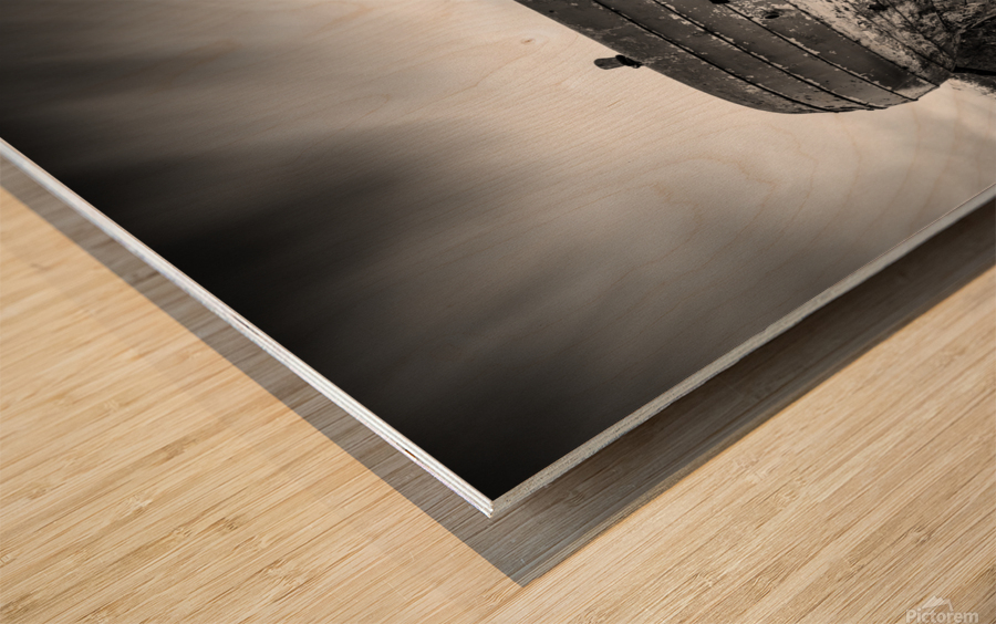 St Cyrus Wreck Wood print