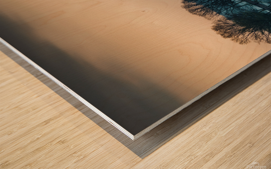 Loch Ard Reflection Wood print