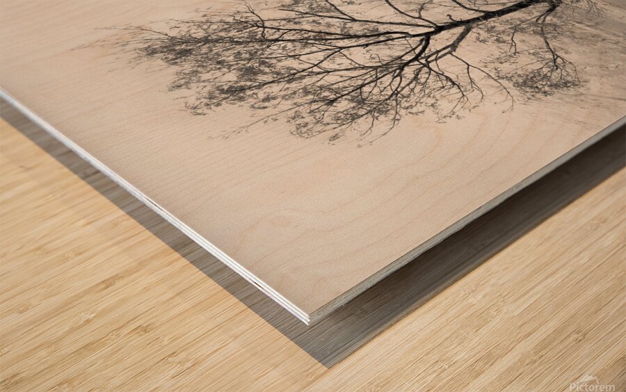 Loch Etive Tree Impression sur bois