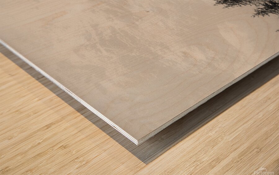 Snowcapped Firs Wood print