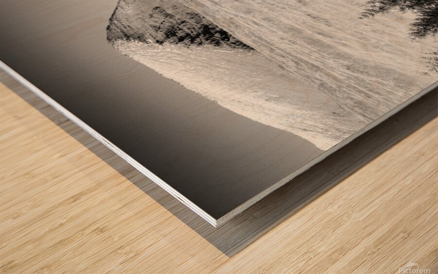 Mull Trees and Peak Wood print