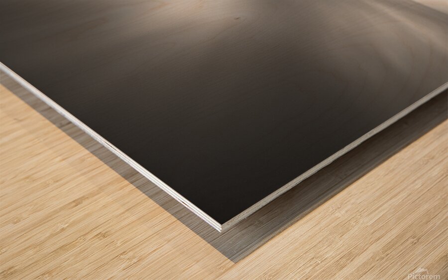 Belhaven Bridge Impression sur bois