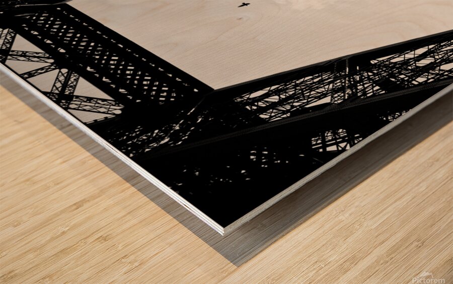 Birds-Eye View Wood print