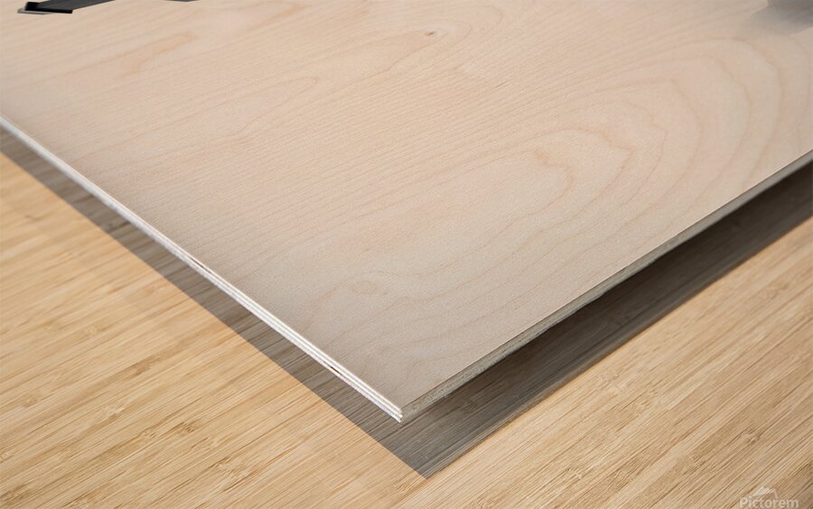 Misty City Wood print