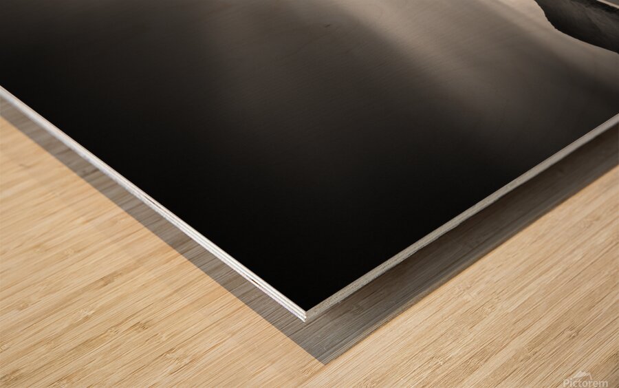 Duke of Portland Boathouse Impression sur bois