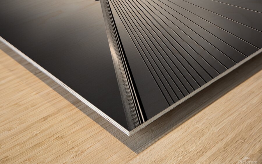 Erasmusbrug Impression sur bois