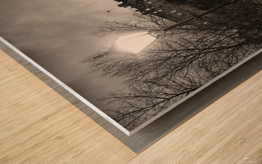 Edinburgh Castle from the Vennel Wood print