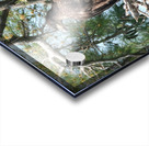 Bird Photography  Acrylic print