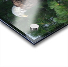 Bird Photography  Acrylic print
