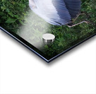 Bird Photography  Acrylic print