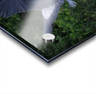 Bird Photography  Acrylic print