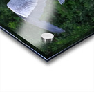 Bird Photography    Acrylic print