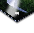 Bird Photography    Acrylic print