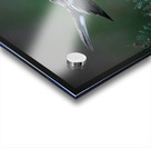 Bird Photography    Acrylic print