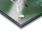 Bird Photography    Acrylic print