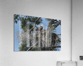 Bird Photography  Acrylic Print