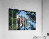 Bird Photography  Acrylic Print