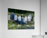 Bird Photography  Acrylic Print