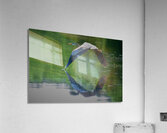 Bird Photography  Acrylic Print