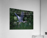 Bird Photography  Acrylic Print