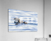 Bird Photography    Acrylic Print